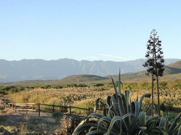 Tanagra Wine & Guestfarm Apartment McGregor Bagian luar foto