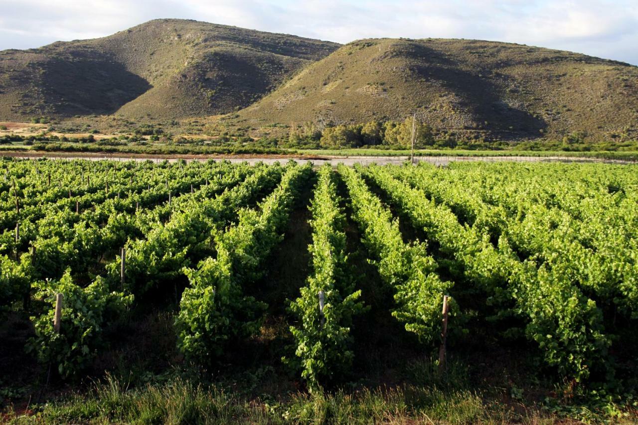 Tanagra Wine & Guestfarm Apartment McGregor Bagian luar foto